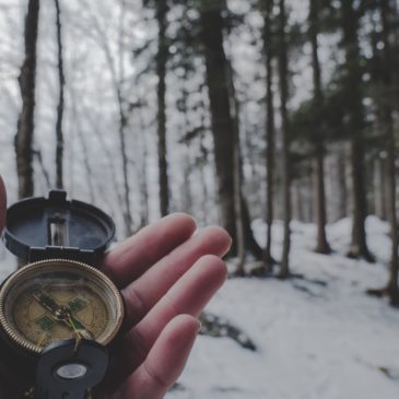 Powerful Questions Help Us Explore ‘The Truth’​ – Or Do They?