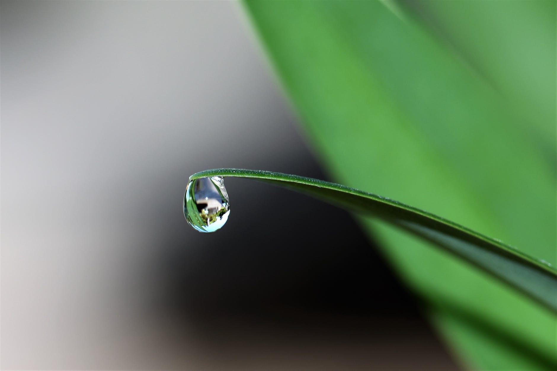 droplet