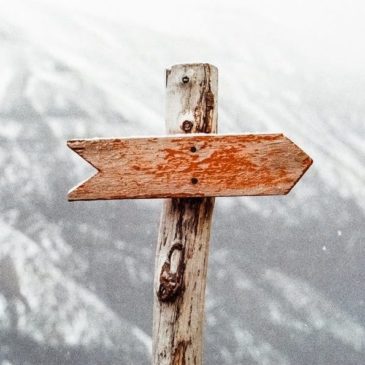 What’s Important In Learning To Lead?